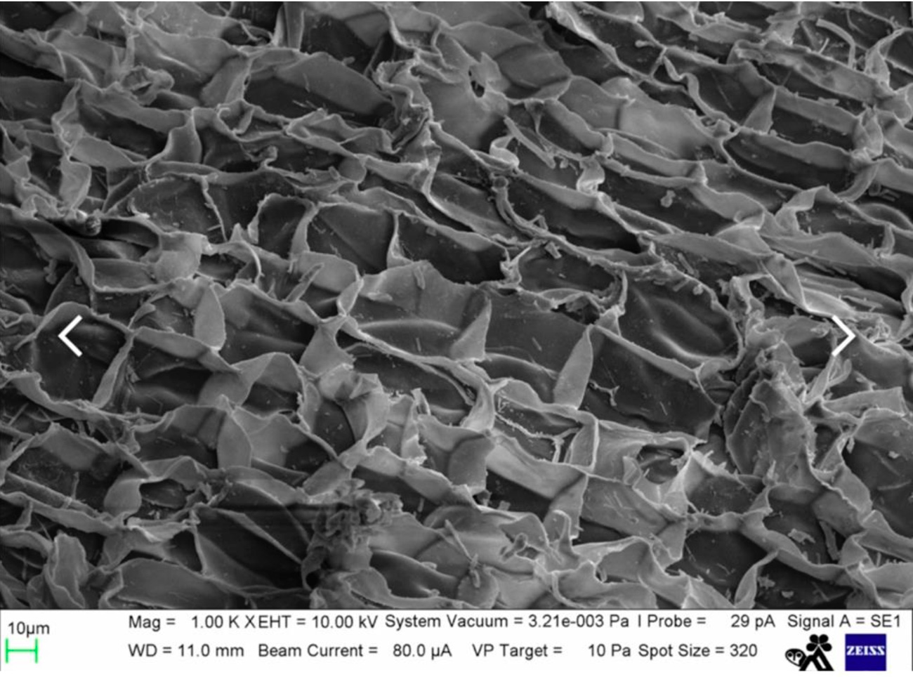 Microscope image of cork showing its closed-cell anisotropic structure with gas-filled pockets that absorb energy. This natural material compresses without lateral expansion, making it ideal for vibration damping at the cartridge–tonearm interface.